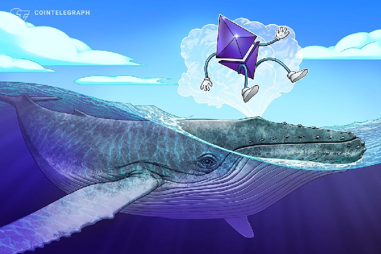 Мнение: «умные» Ethereum-киты усилили лонги на $426 млн в надежде на рост курса к $4000