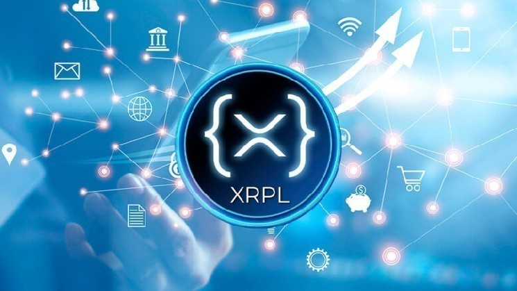 
			XRP: В 2026 году установлен новый рекорд		