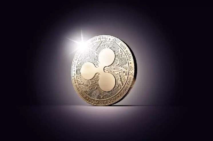 Компания Evernorth сообщает о значительных убытках от инвестиций в XRP Holdings: теперь будет применять другую стратегию