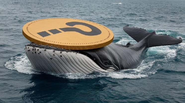 Пока биткоин (BTC) падал, крупные инвесторы не бездействовали; они меняли свои позиции: вот альткоины, которыми они торговали…