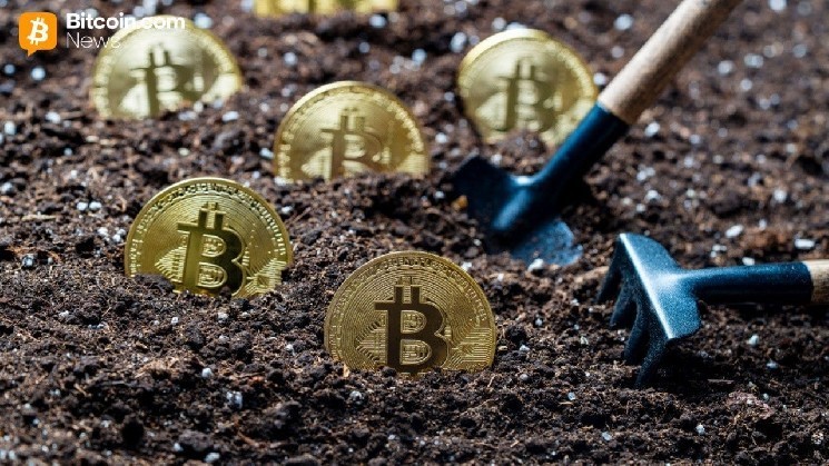 Последний миллион: почему эксперты считают, что добыча 20 миллионов BTC укрепляет «доказуемую редкость»
